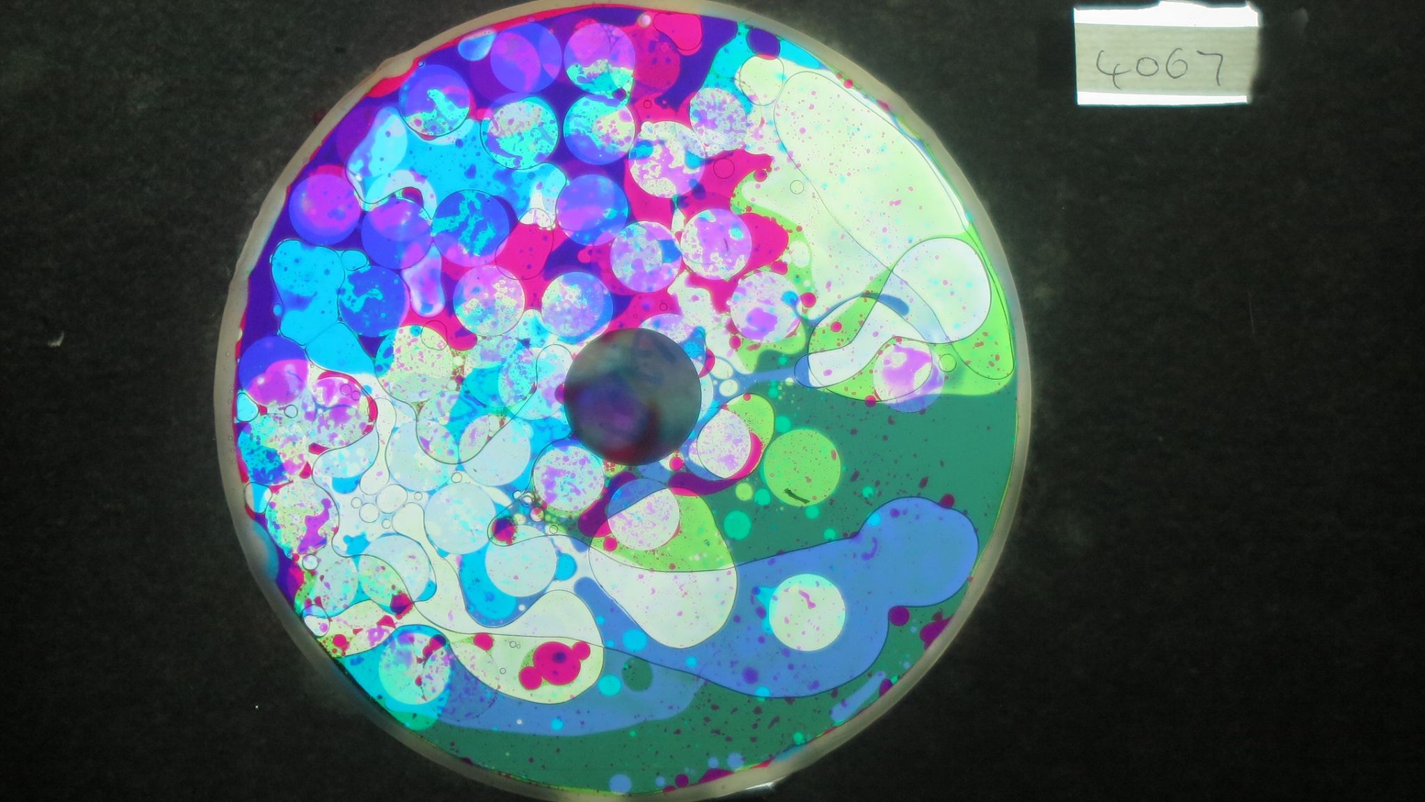 BV4067 bubble vision oil wheel